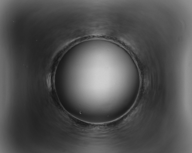 X0000088371262200705291320