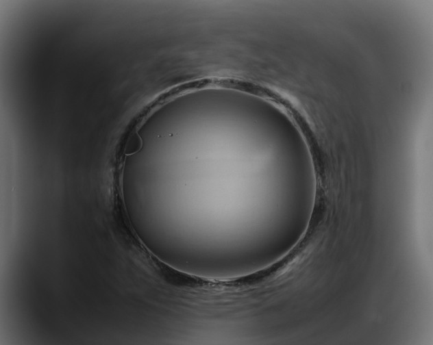 X0000088371263200705291320
