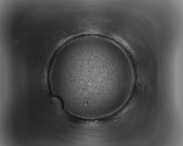 X0000088371264200705291320