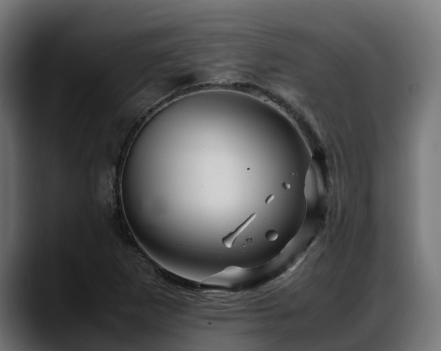 X0000088371265200705291320