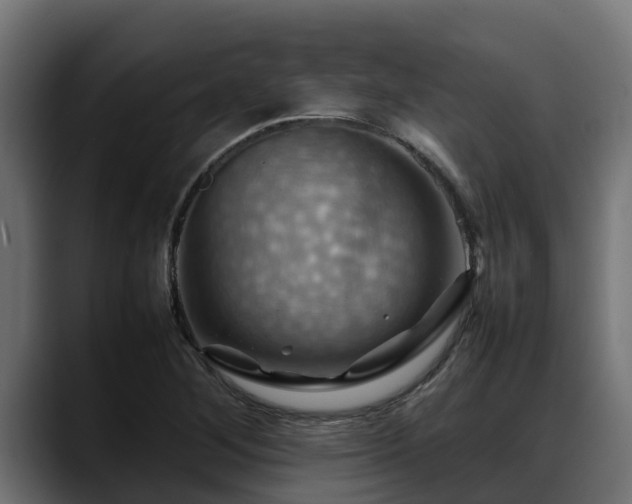 X0000088371268200705291320