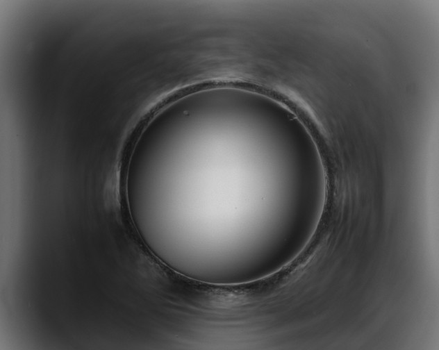 X0000088371270200705291320