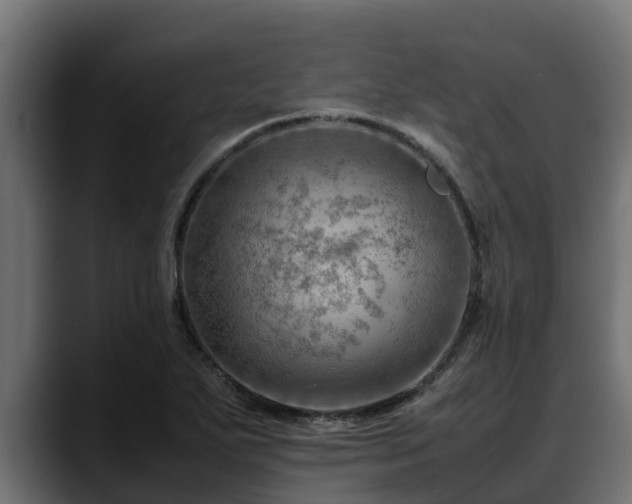 X0000088371271200705291320