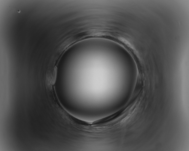 X0000088371273200705291320