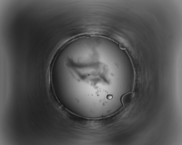 X0000088371275200705291320