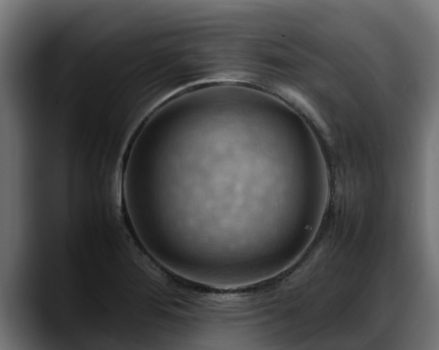 X0000088371276200705291320