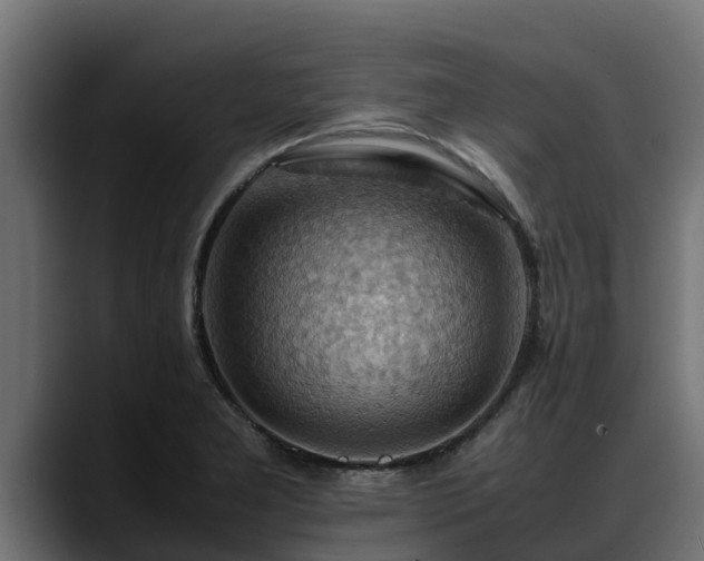 X0000088371277200705291320