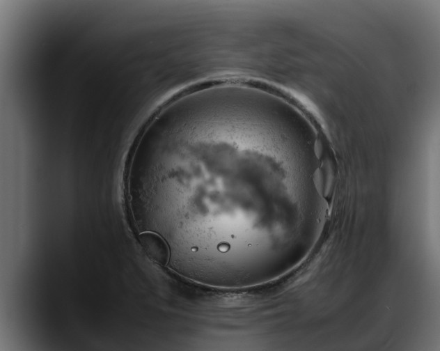 X0000088371279200705291320