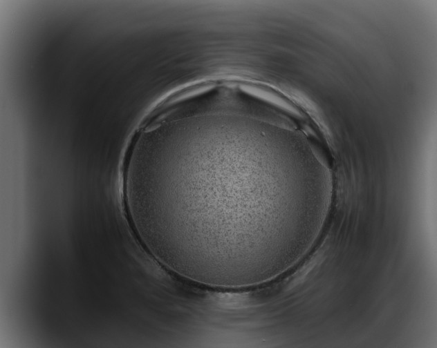 X0000088371280200705291320