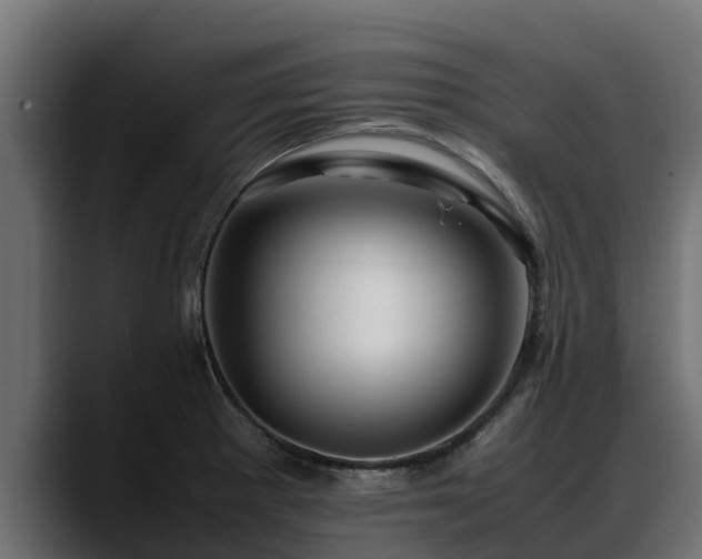 X0000088371281200705291320
