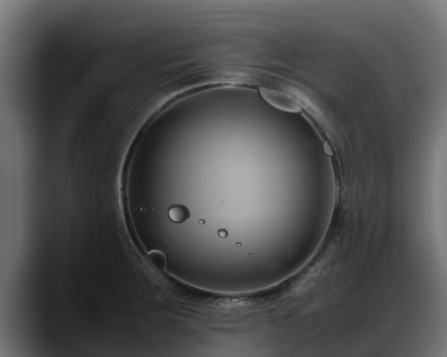 X0000088371283200705291320