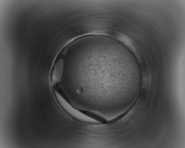 X0000088371284200705291320