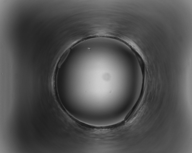 X0000088371285200705291320