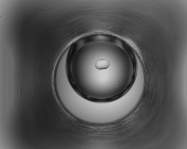 X0000088371287200705291320