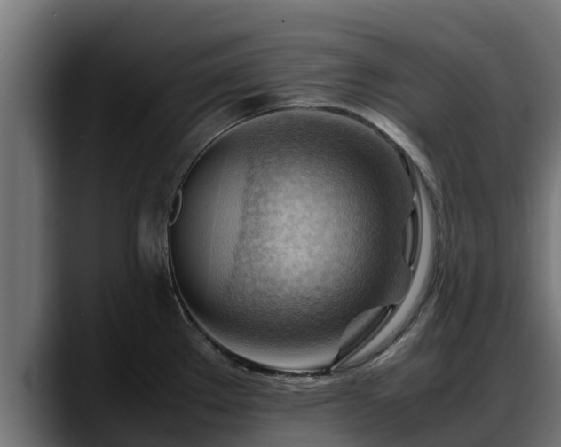 X0000088371289200705291320