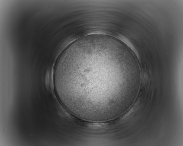 X0000088371290200705291320