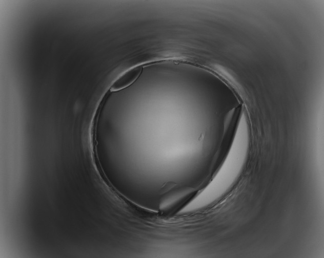 X0000088371291200705291320