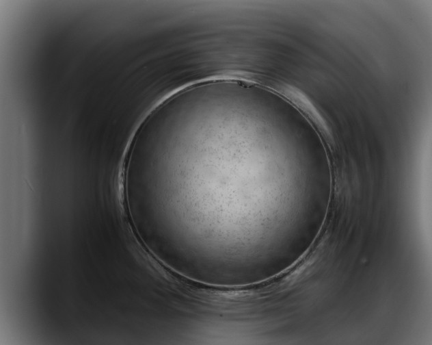 X0000088371292200705291320