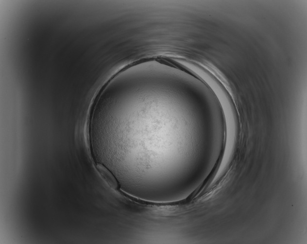 X0000088371293200705291320