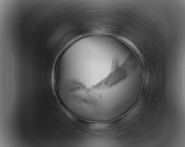 X0000088371294200705291320