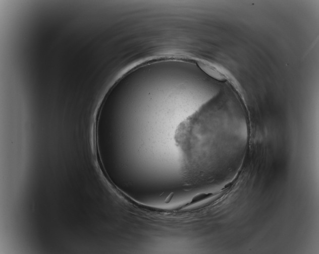X0000088371295200705291320