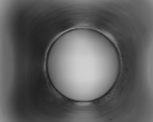 X0000088371296200705291320