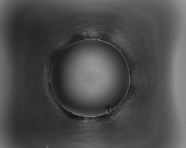 X0000088371297200705291319