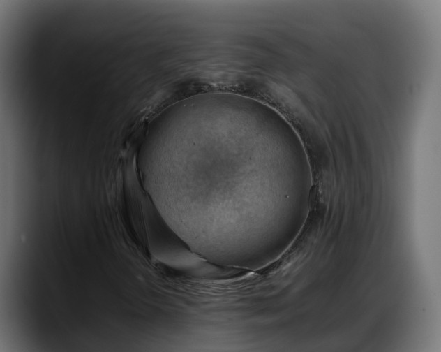 X0000088371298200705291319