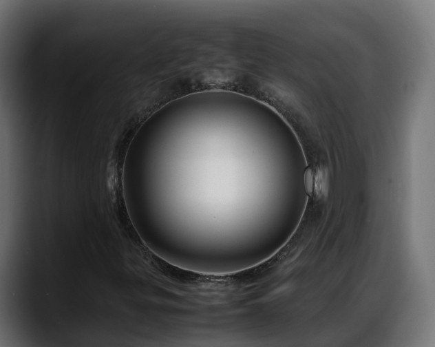 X0000088371299200705291319
