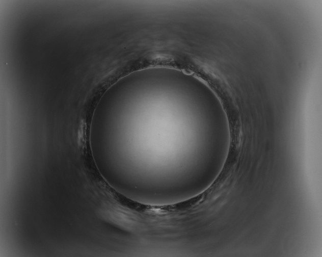 X0000088371301200705291319