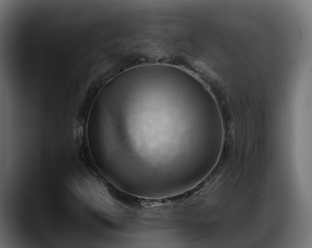 X0000088371302200705291319