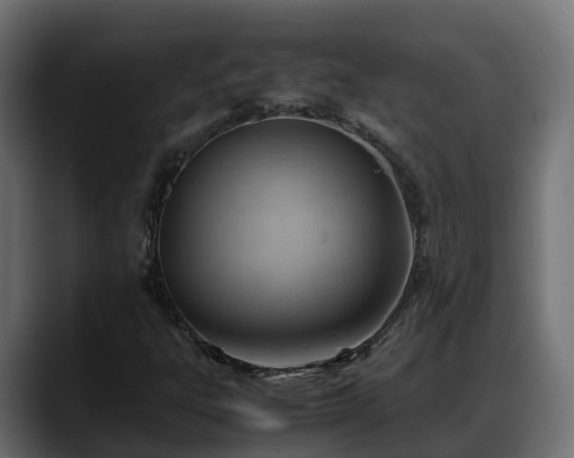 X0000088371303200705291319