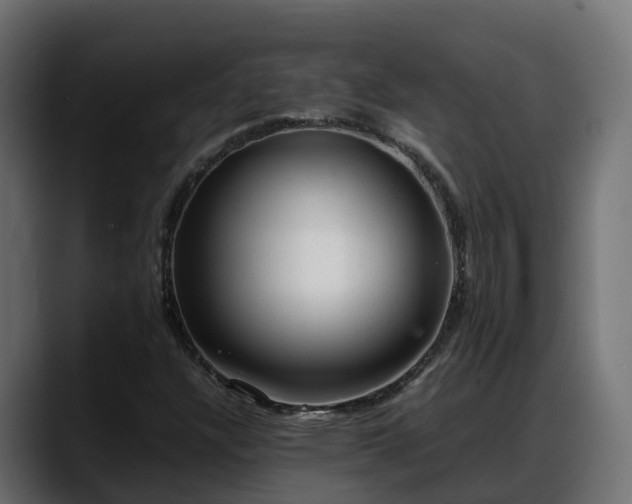 X0000088371304200705291319