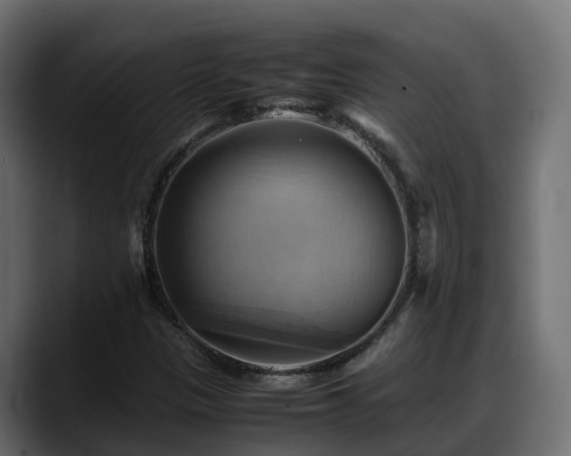 X0000088371305200705291319