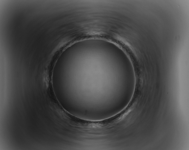 X0000088371306200705291319