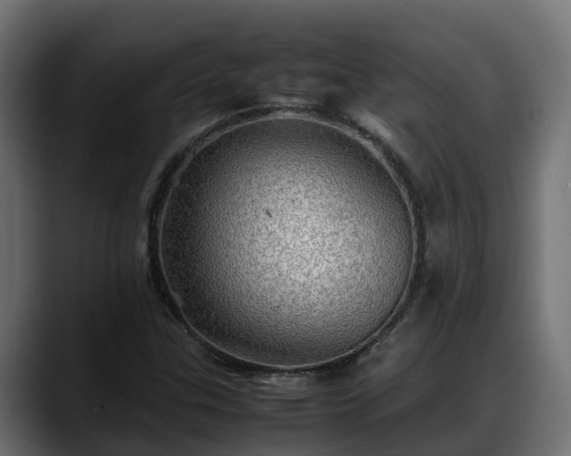 X0000088371307200705291319