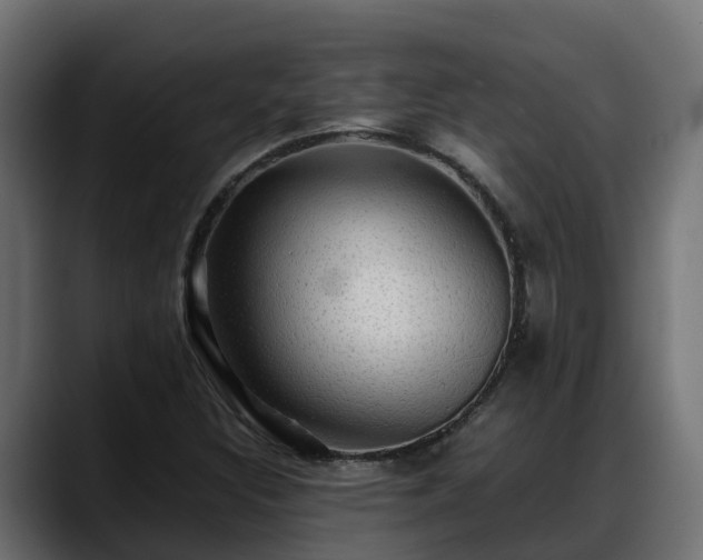 X0000088371308200705291319