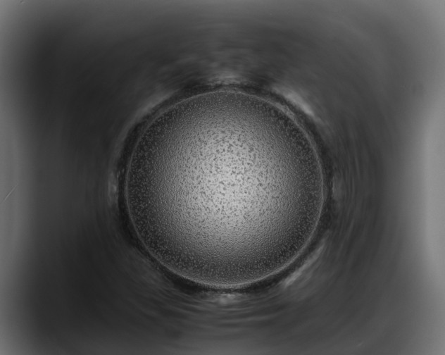 X0000088371309200705291319