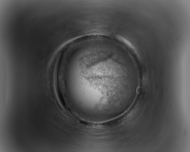 X0000088371310200705291319