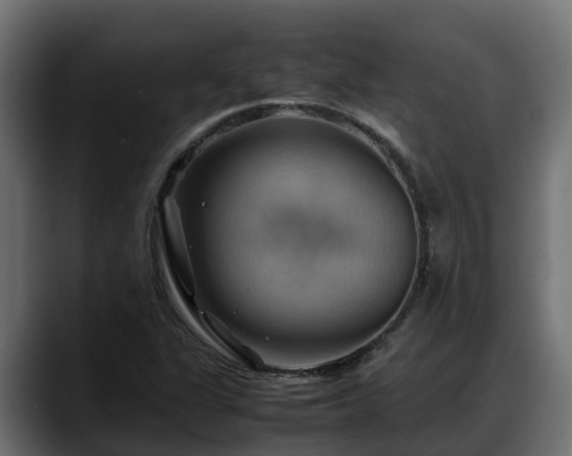 X0000088371311200705291319