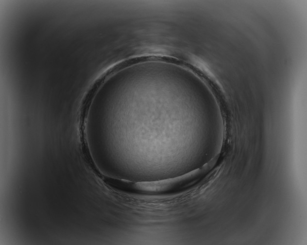 X0000088371312200705291319
