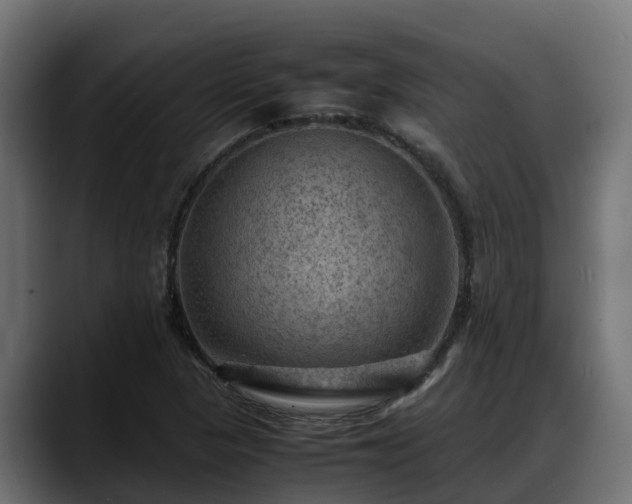 X0000088371313200705291319