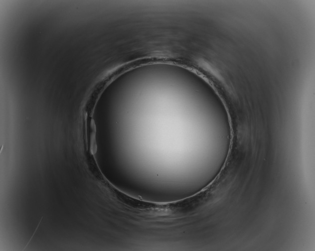 X0000088371315200705291319