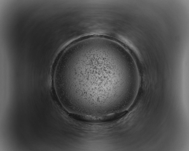 X0000088371316200705291319