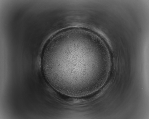 X0000088371318200705291319