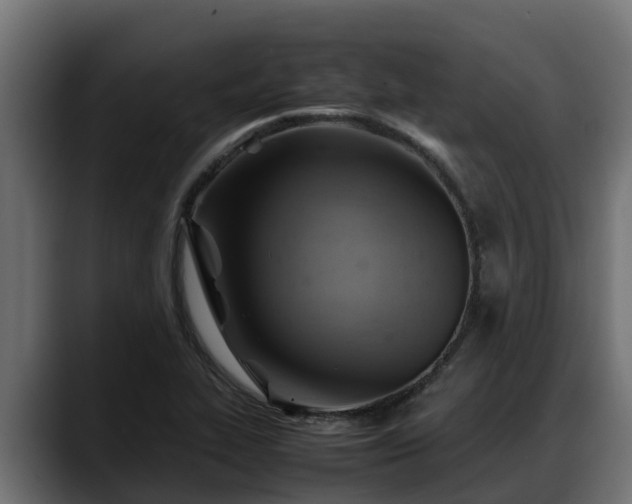 X0000088371319200705291319