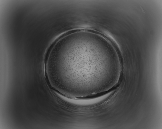 X0000088371320200705291319