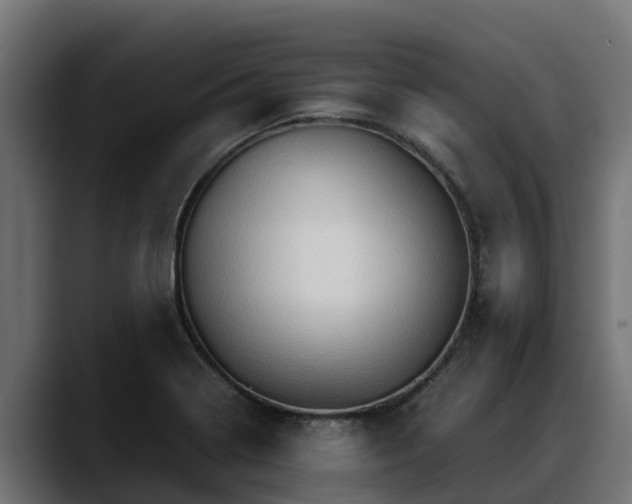 X0000088371322200705291319