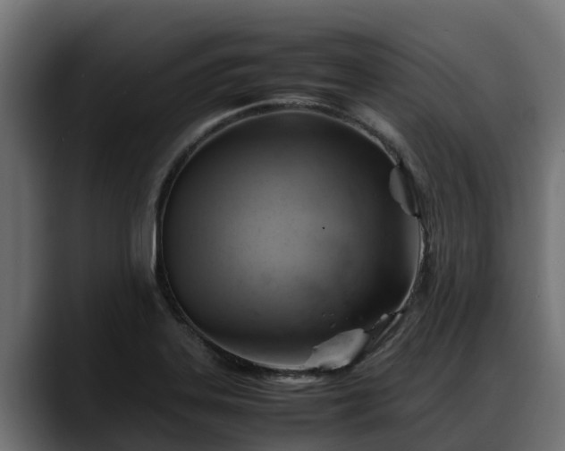 X0000088371323200705291319