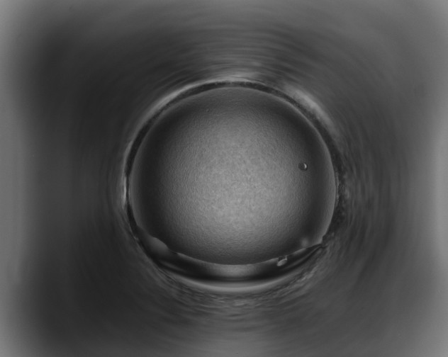 X0000088371324200705291319